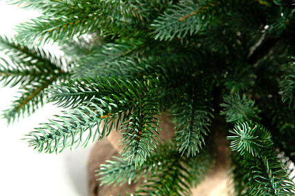 Ель CRYSTAL TREES ИЗУМРУДНАЯ ЭДИТ 60 см. KP5060